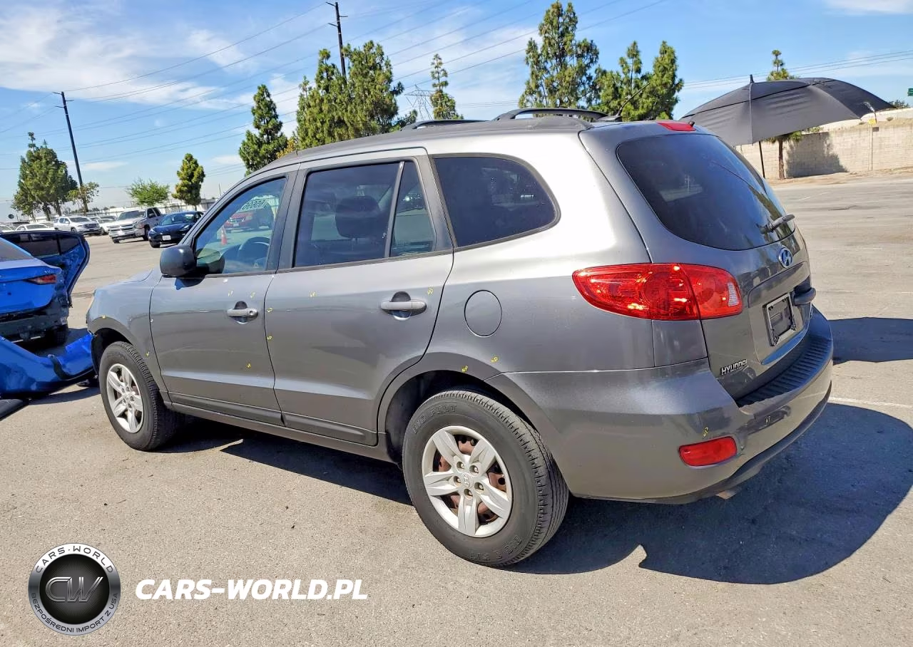 2009 Hyundai Santa Fe Gls VIN:5NMSG13DX9H322456 - 2