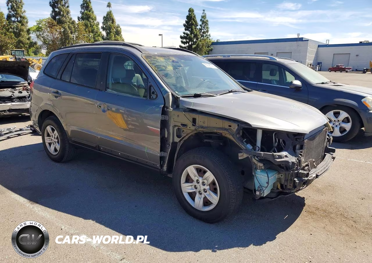 2009 Hyundai Santa Fe Gls VIN:5NMSG13DX9H322456 - 4