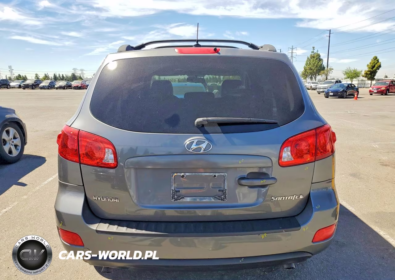 2009 Hyundai Santa Fe Gls VIN:5NMSG13DX9H322456 - 6