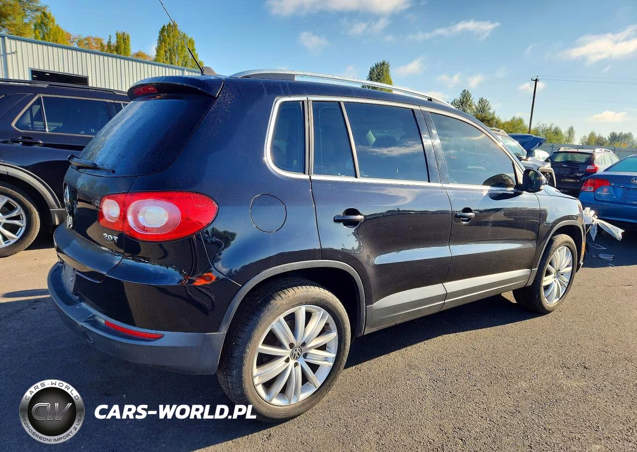 2009 Volkswagen Tiguan S VIN:WVGAV75N09W502662 - 3