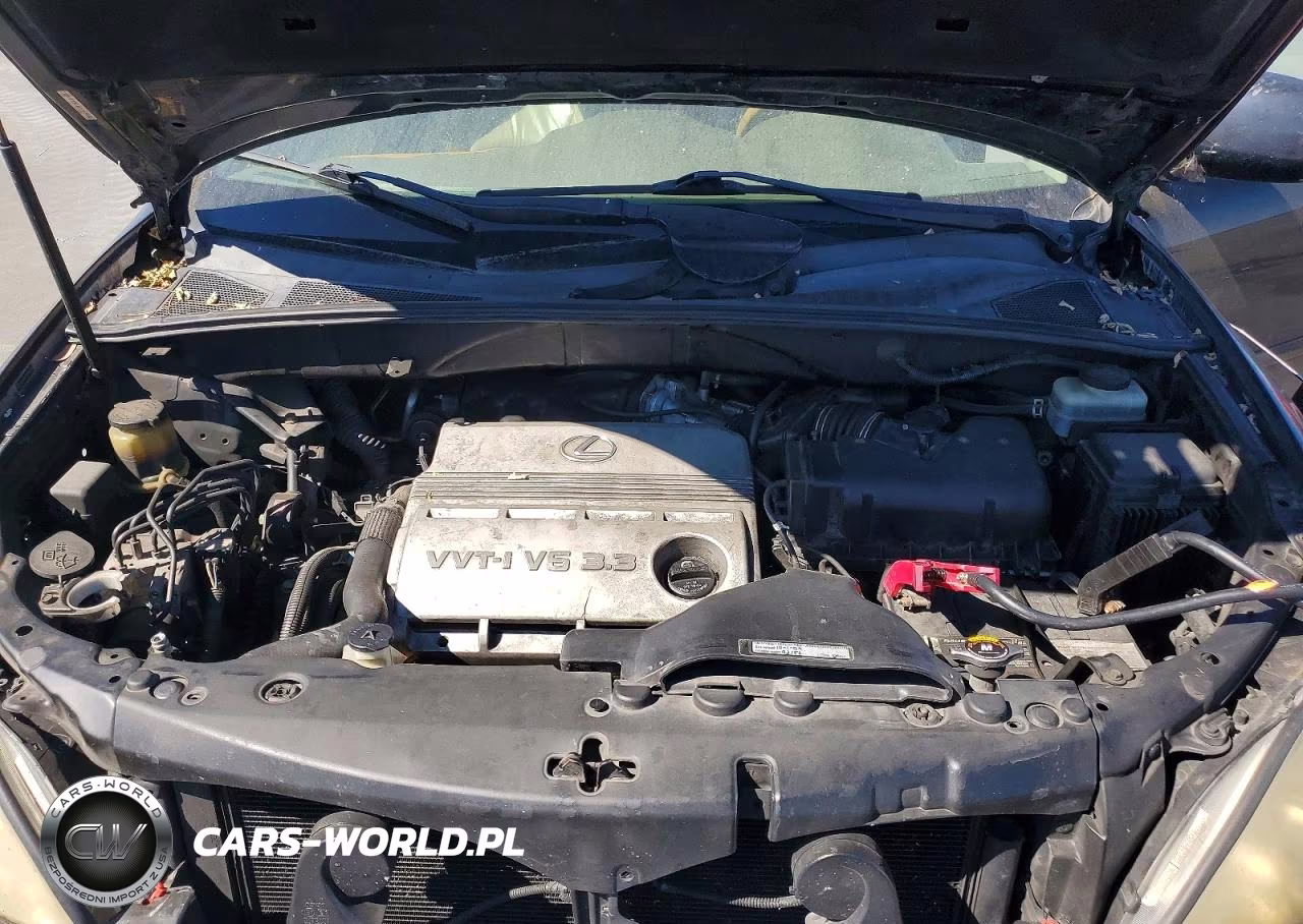 2004 Lexus Rx 330 VIN:JTJGA31U640004247 - 12