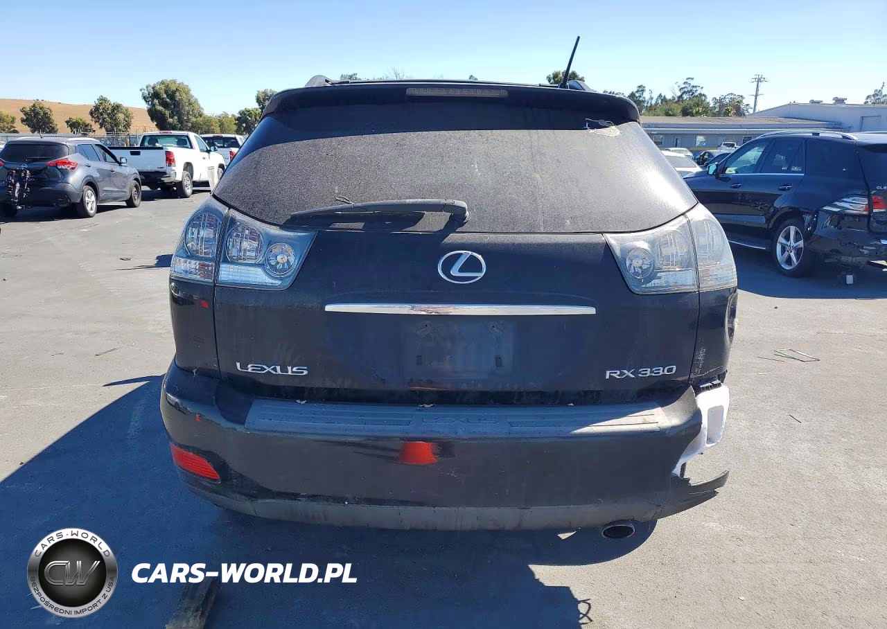 2004 Lexus Rx 330 VIN:JTJGA31U640004247 - 6