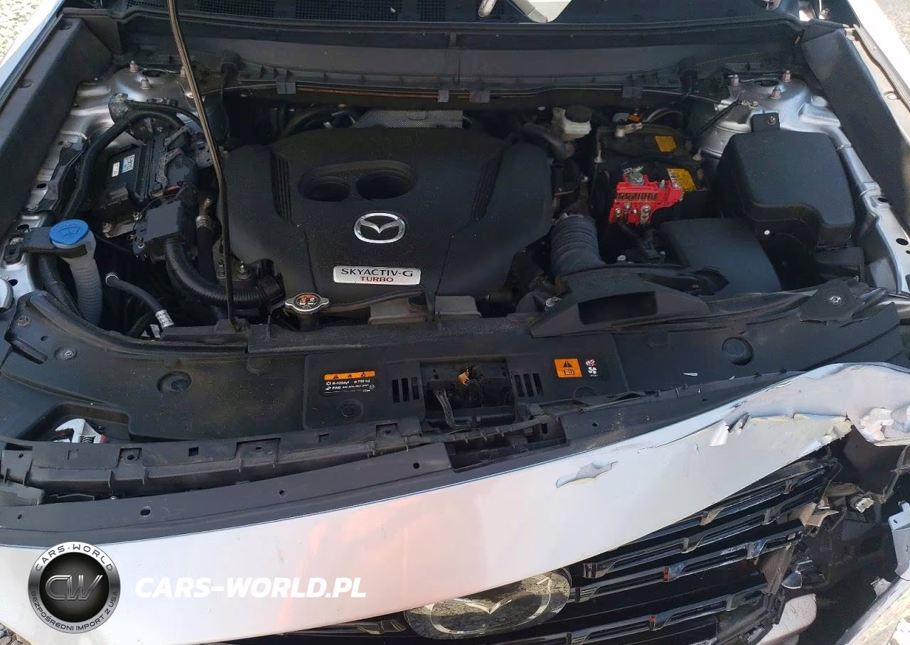 2023 Mazda Cx-9 Touring Plus VIN:JM3TCBAY4P0659365 - 12