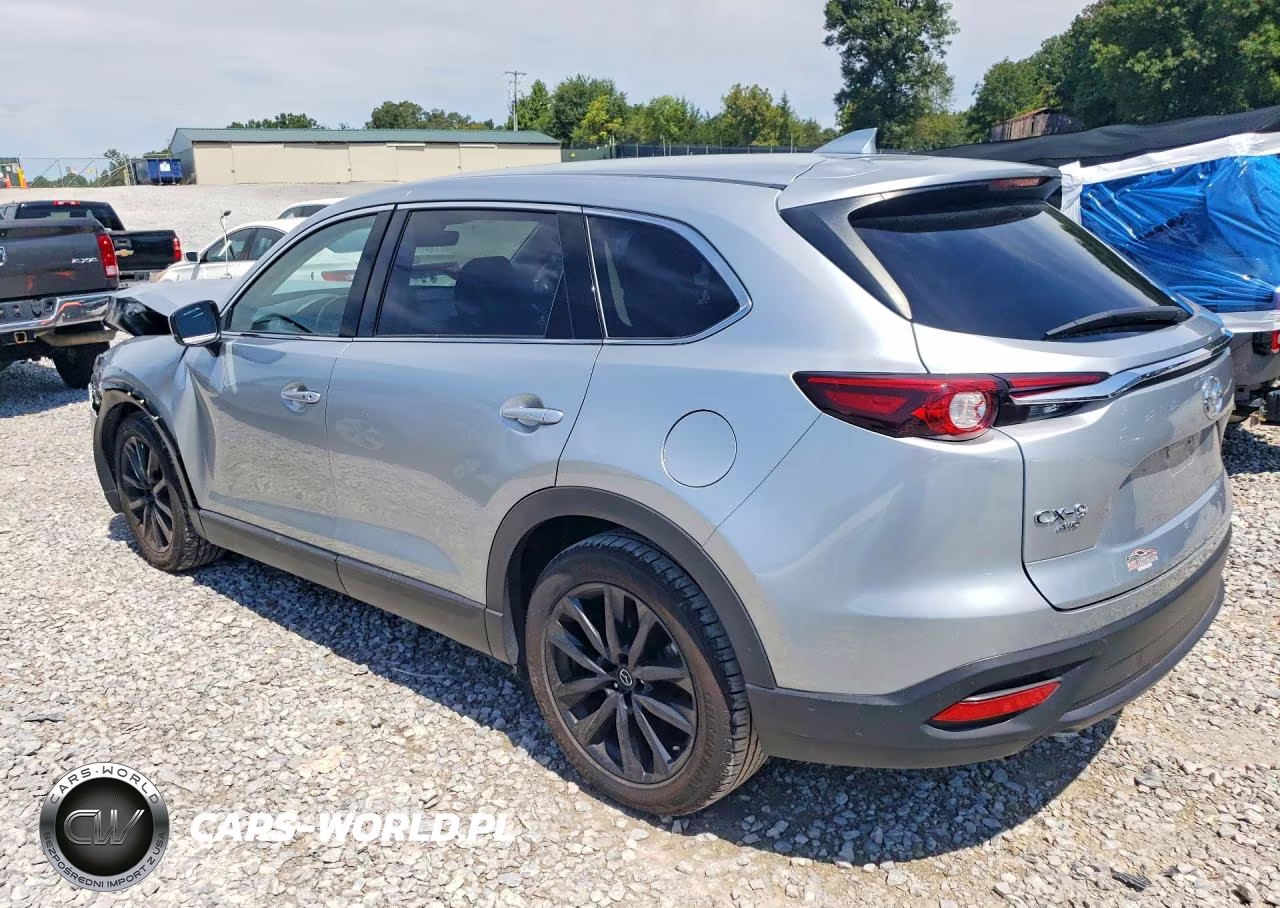 2023 Mazda Cx-9 Touring Plus VIN:JM3TCBAY4P0659365 - 2