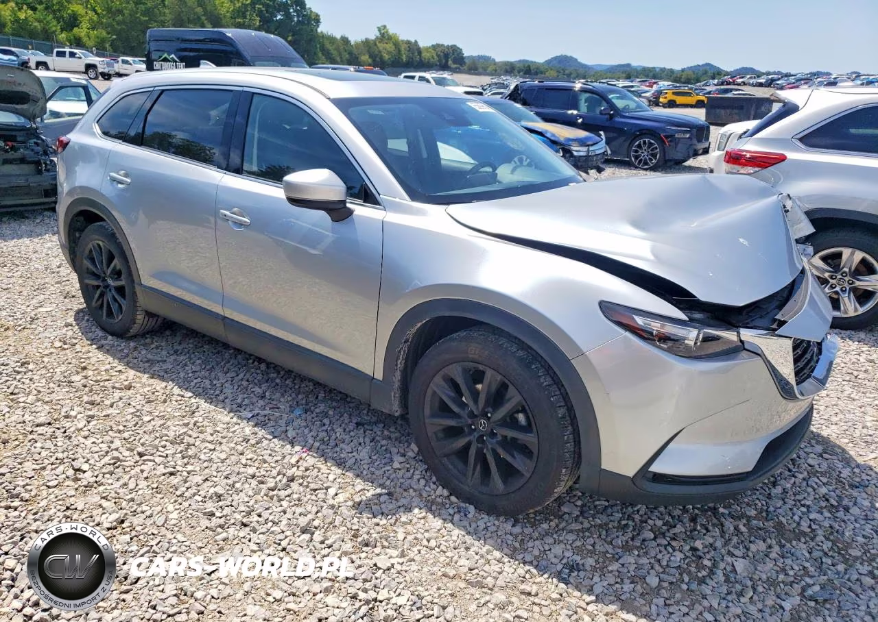 2023 Mazda Cx-9 Touring Plus VIN:JM3TCBAY4P0659365 - 4