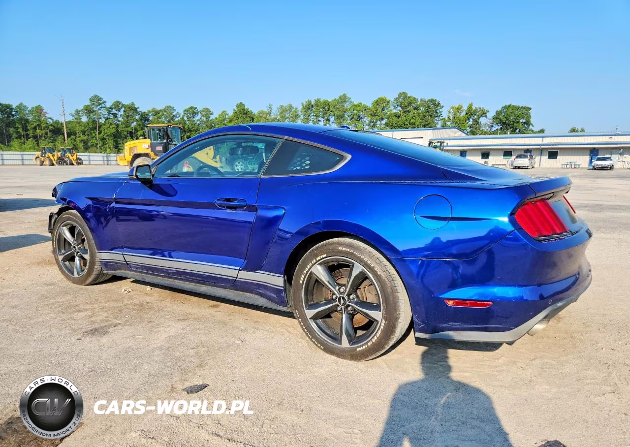 2015 Ford Mustang VIN:1FA6P8TH2F5431155 - 2