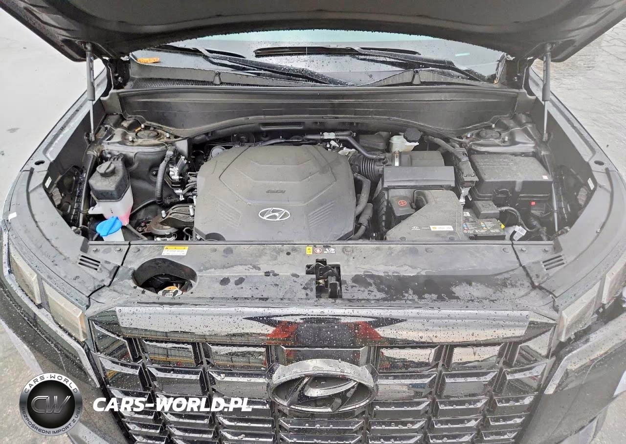 2025 Hyundai Palisade Xrt VIN:KM8R3DGEXSU937257 - 12