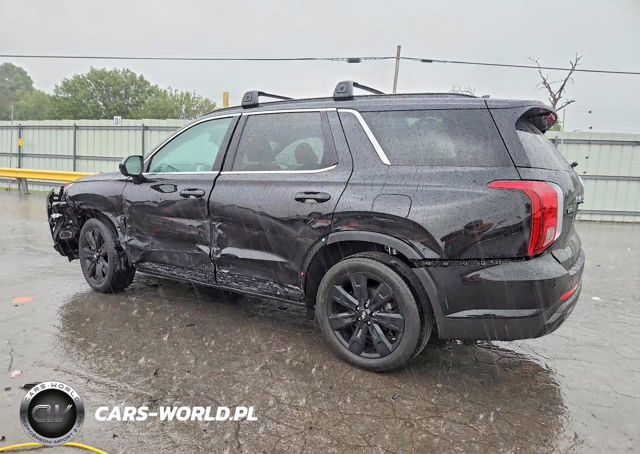 2025 Hyundai Palisade Xrt VIN:KM8R3DGEXSU937257 - 2