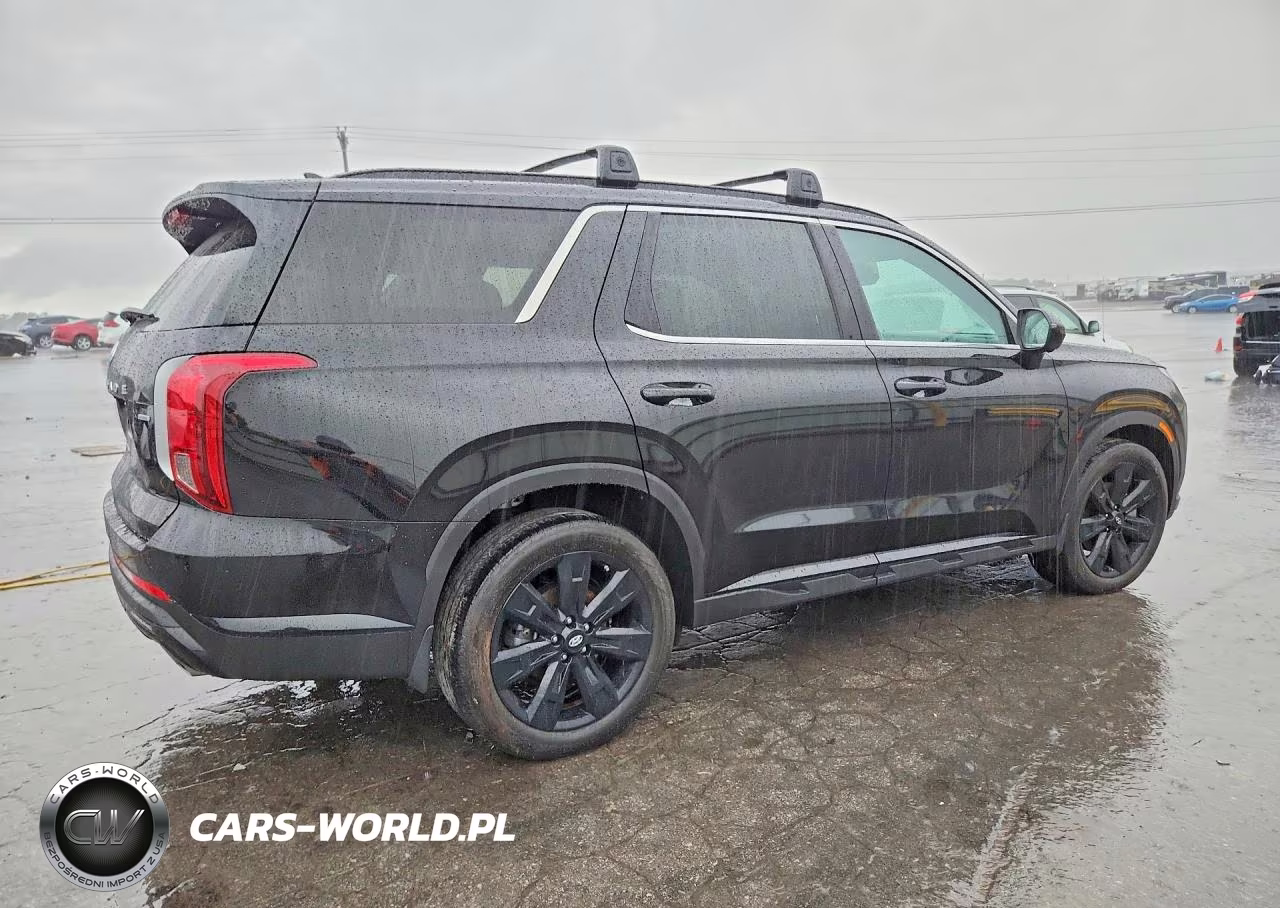 2025 Hyundai Palisade Xrt VIN:KM8R3DGEXSU937257 - 3