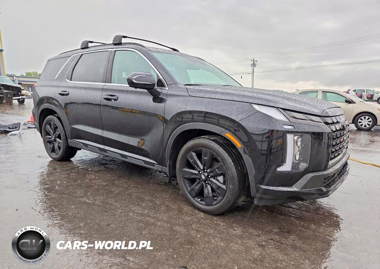2025 Hyundai Palisade Xrt VIN:KM8R3DGEXSU937257 - 4