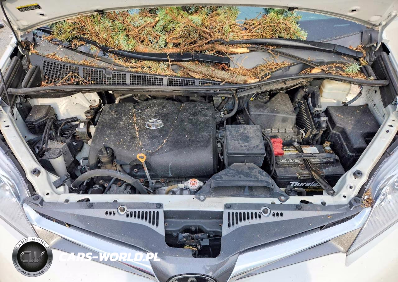 2020 Toyota Sienna Xle 8-Passenger VIN:5TDYZ3DC5LS023810 - 11