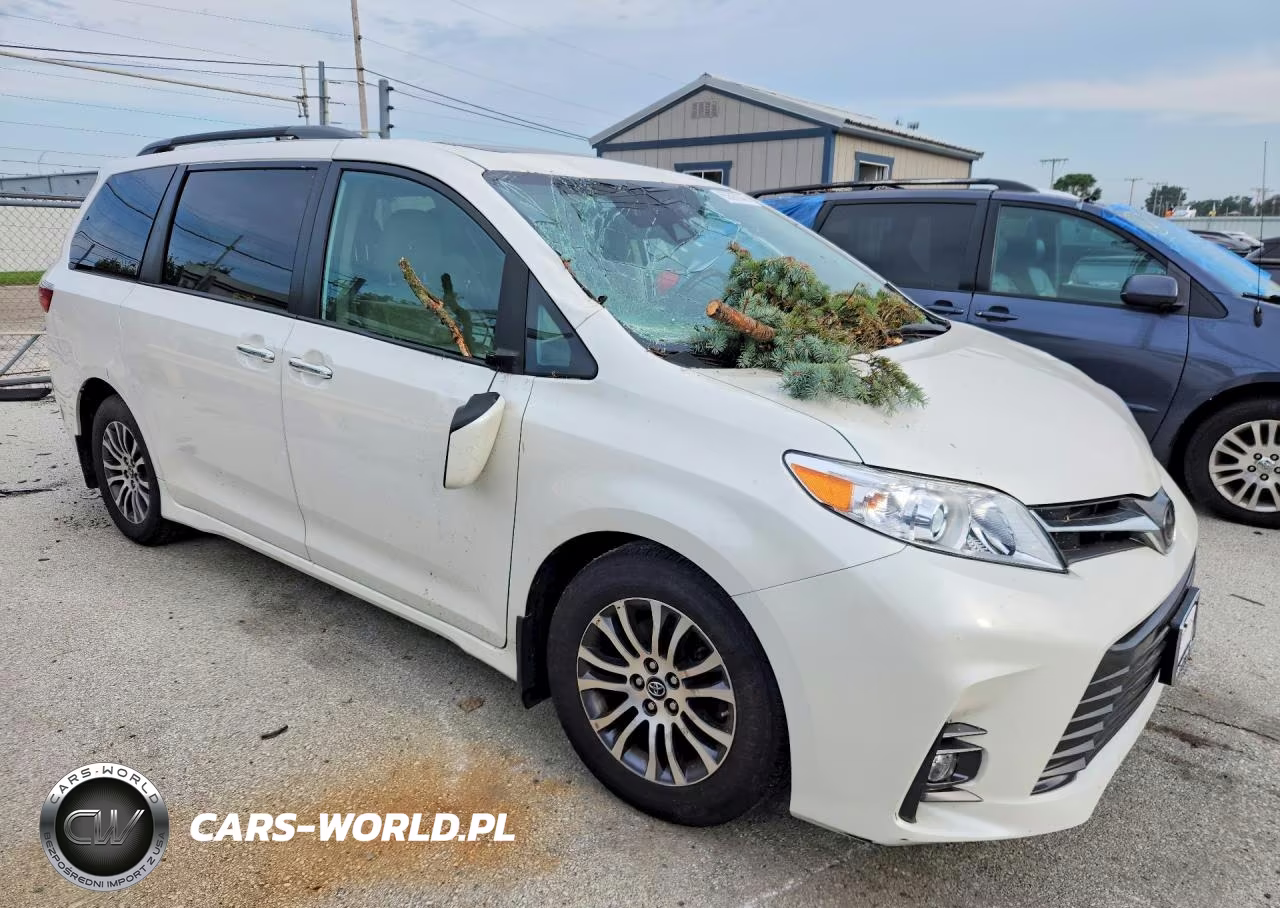 2020 Toyota Sienna Xle 8-Passenger VIN:5TDYZ3DC5LS023810 - 4