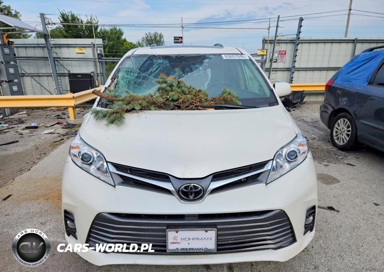 2020 Toyota Sienna Xle 8-Passenger VIN:5TDYZ3DC5LS023810 - 5