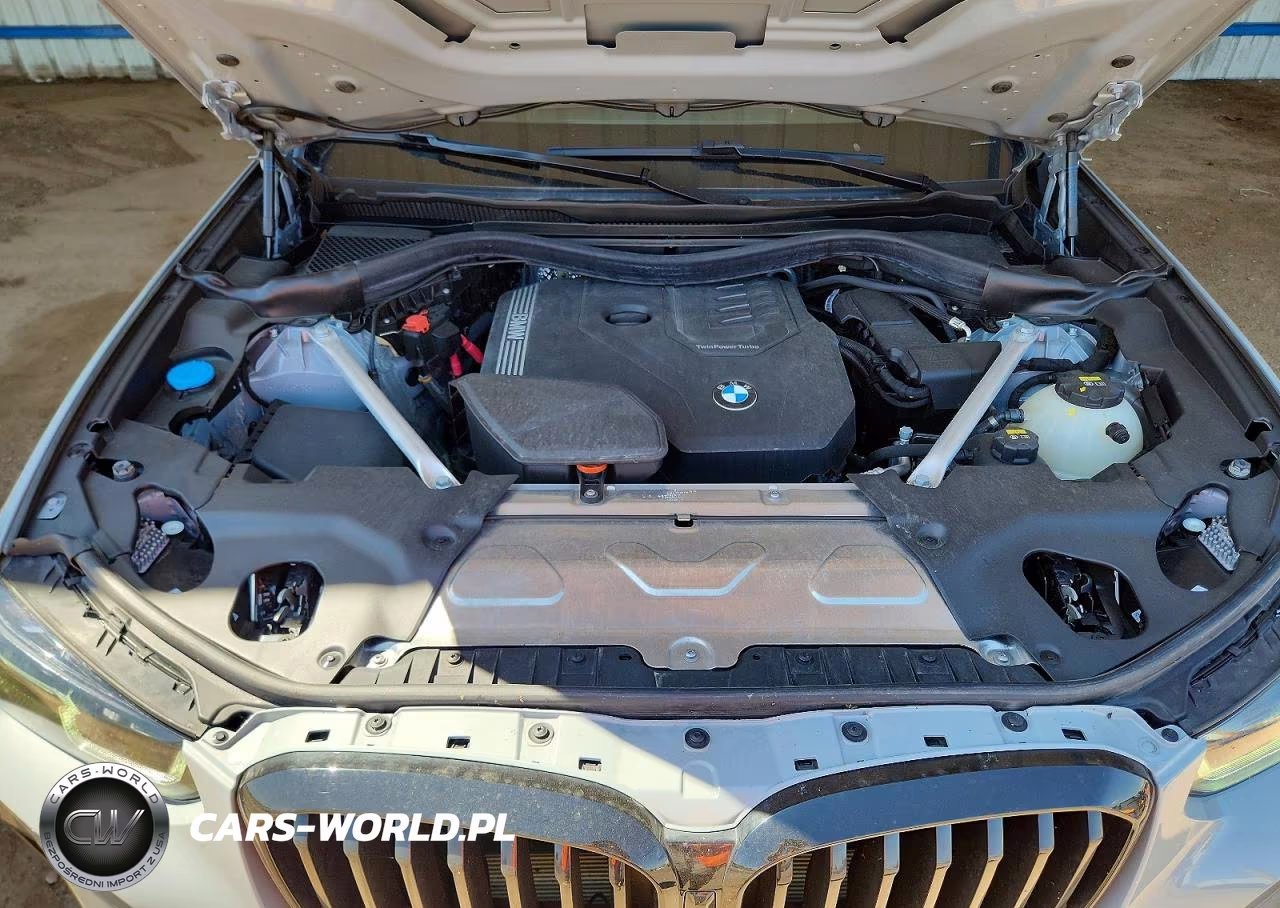 2023 BMW X3 xDrive30I VIN:5UX53DP02P9P70344 - 11