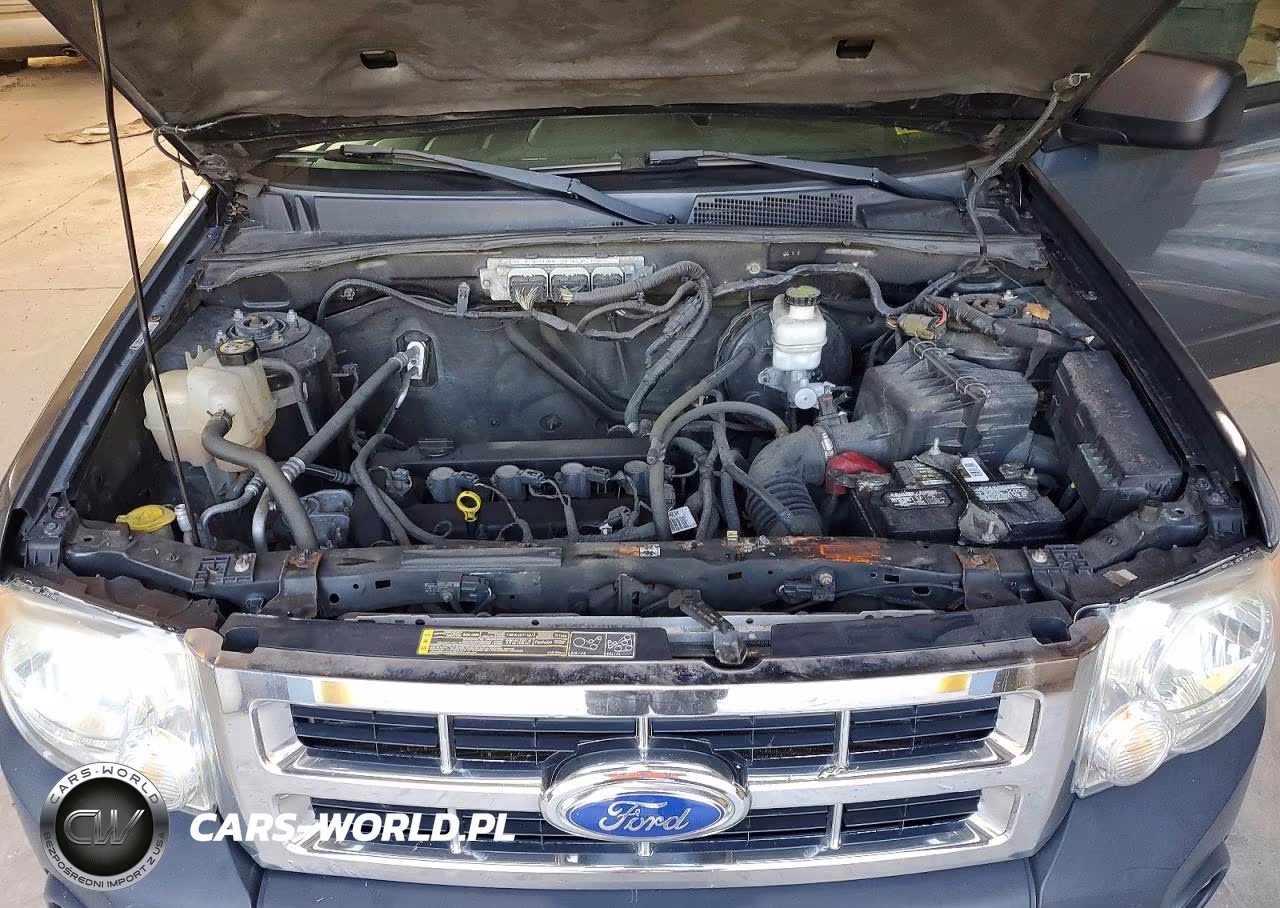 2012 Ford Escape Xlt VIN:1FMCU9D74CKB64319 - 12