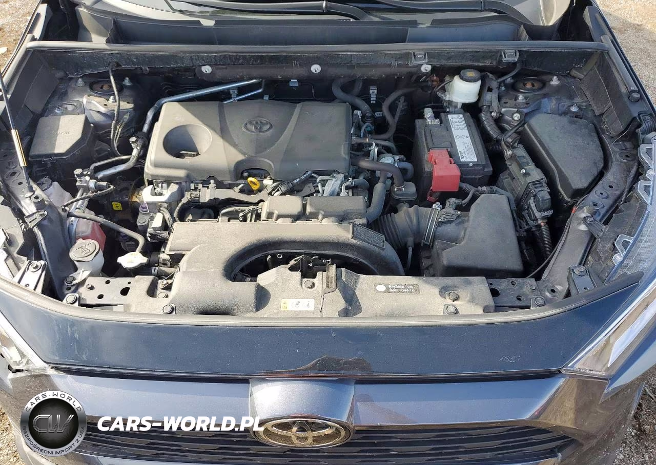 2019 Toyota Rav4 Xle VIN:2T3P1RFV3KW071467 - 12