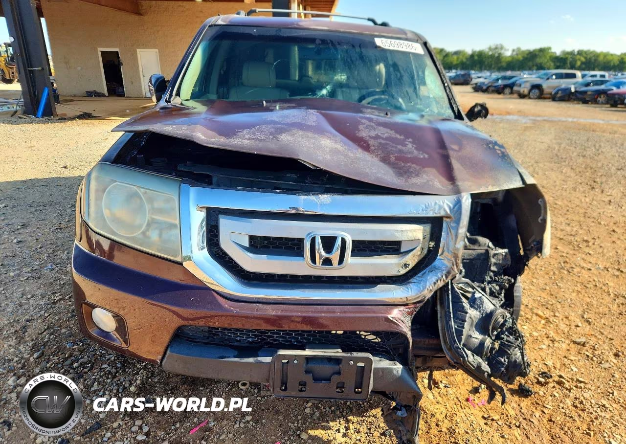 2010 Honda Pilot Exl VIN:5FNYF4H55AB022636 - 5