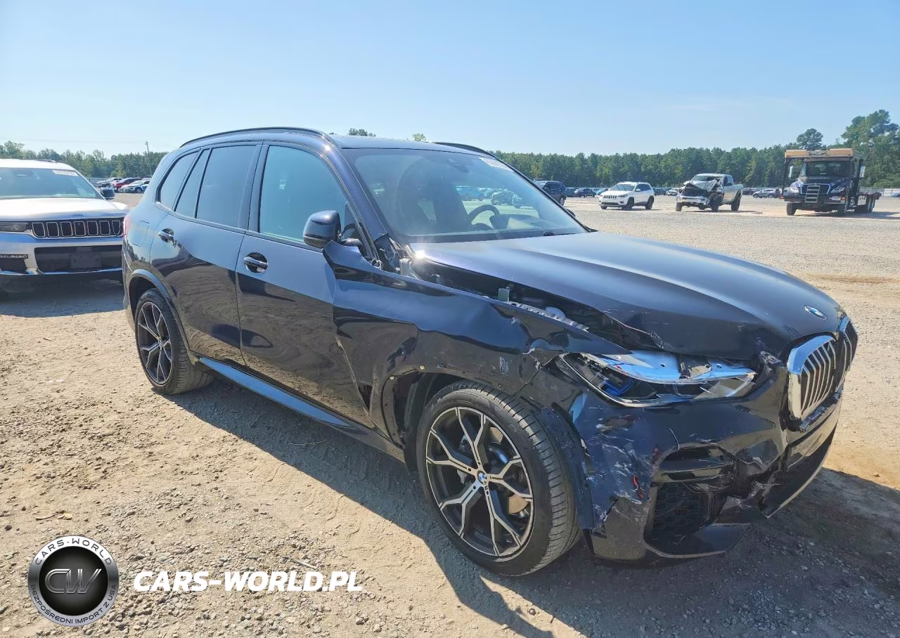 2022 BMW X5 Sdrive 40I VIN:5UXCR4C05N9J65338 - 4