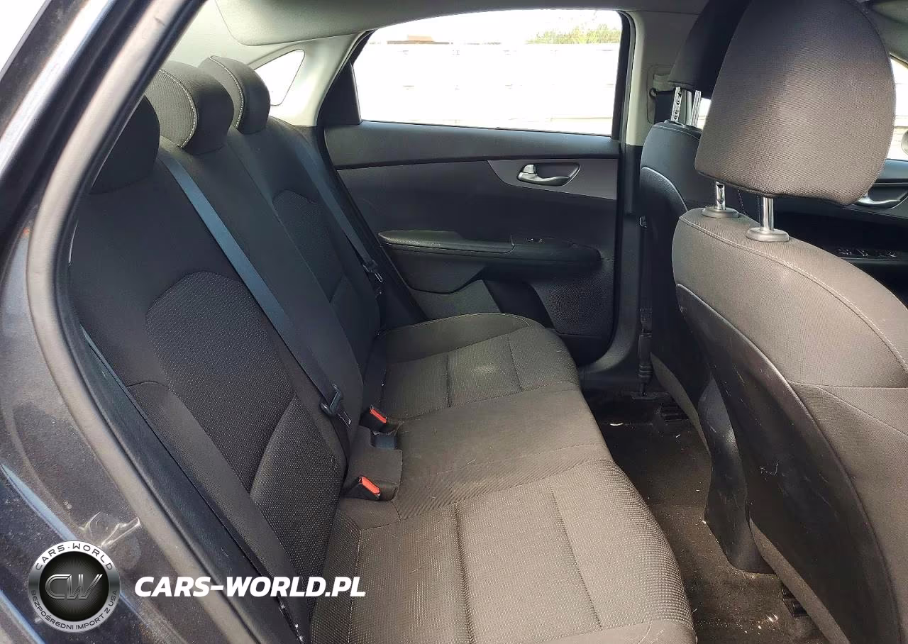 2019 Kia Forte Fe VIN:3KPF24AD2KE048283 - 10