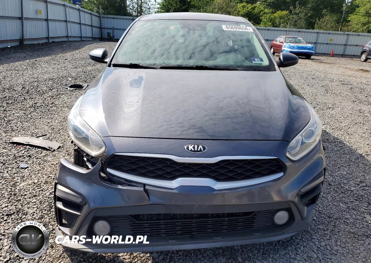 2019 Kia Forte Fe VIN:3KPF24AD2KE048283 - 5