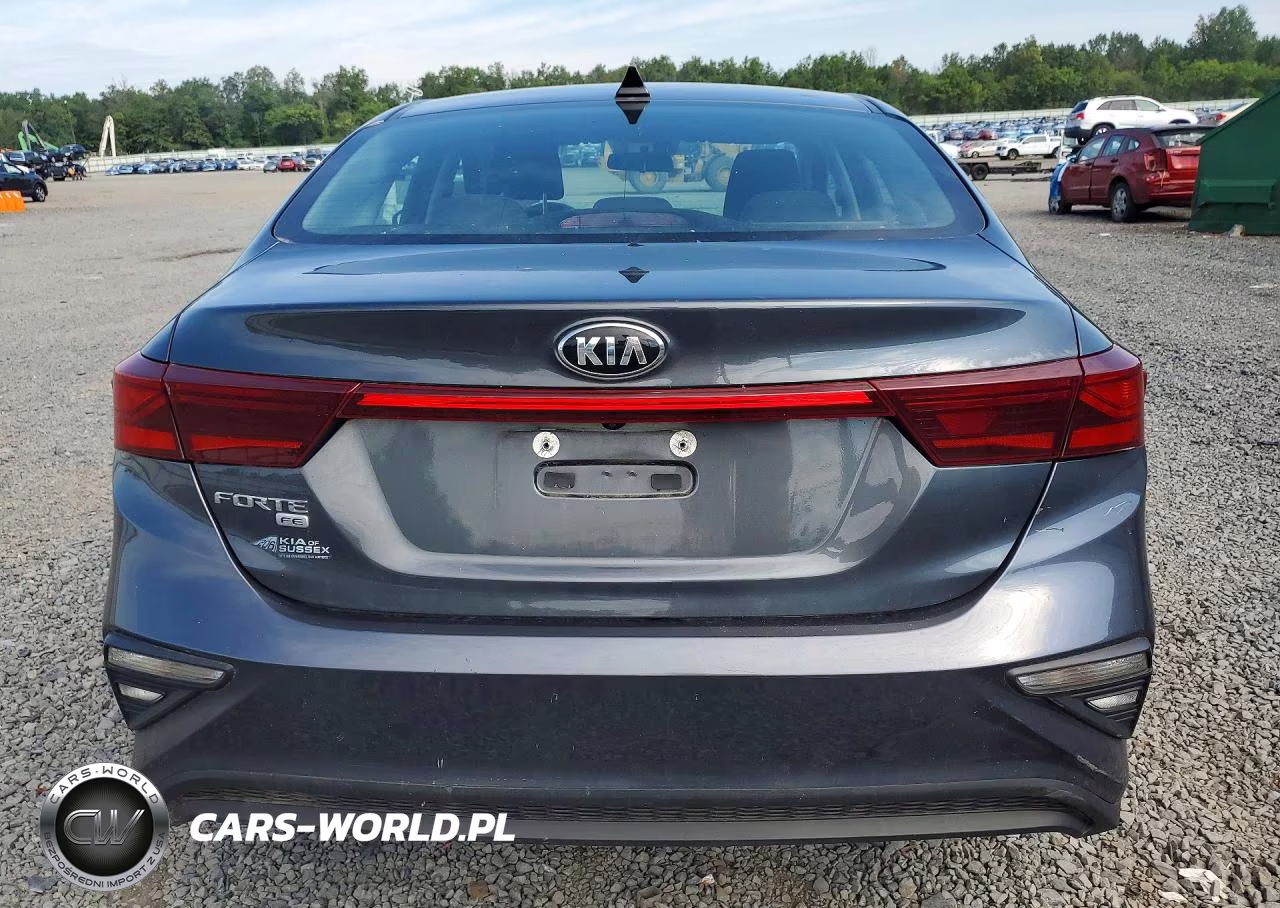 2019 Kia Forte Fe VIN:3KPF24AD2KE048283 - 6