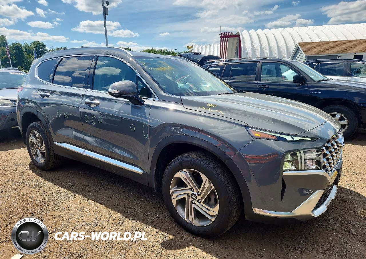 2022 Hyundai Santa Fe Sel VIN:5NMS6DAJ9NH424080 - 4