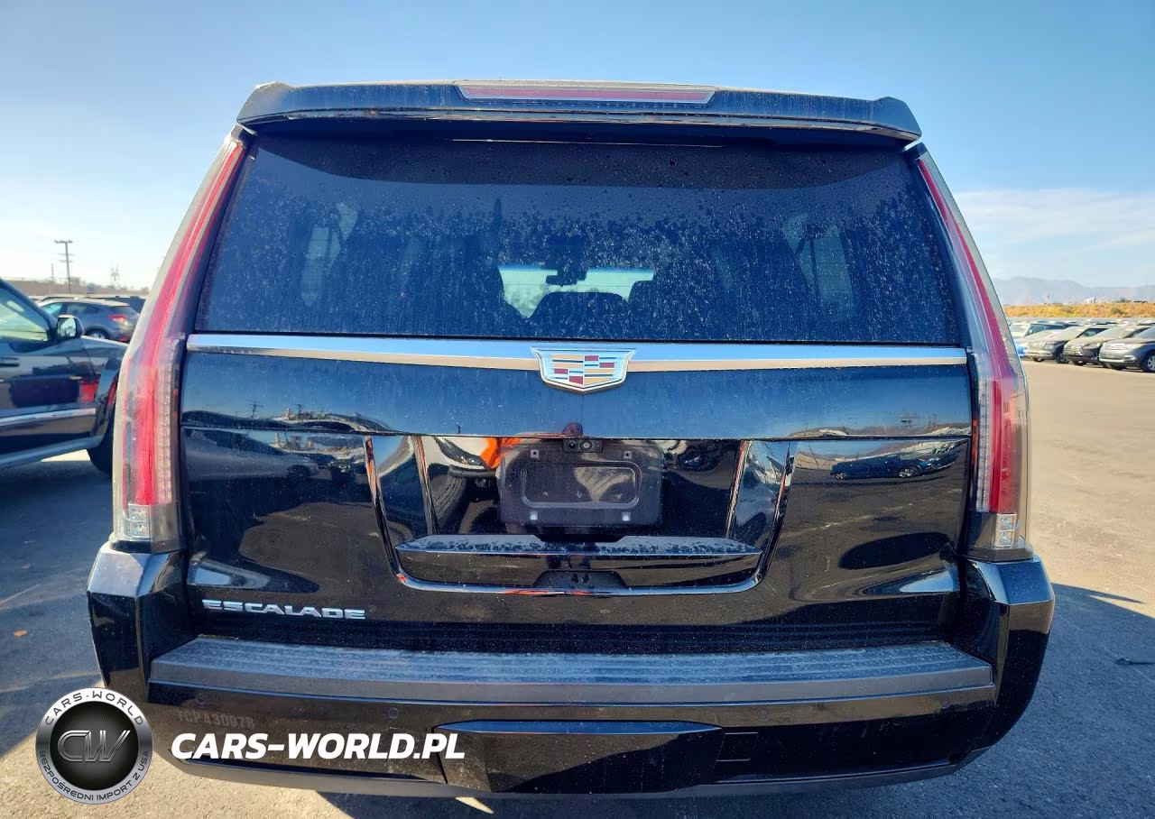 2019 Cadillac Escalade Esv Premium Luxury VIN:1GYS3JKJ5KR147208 - 6