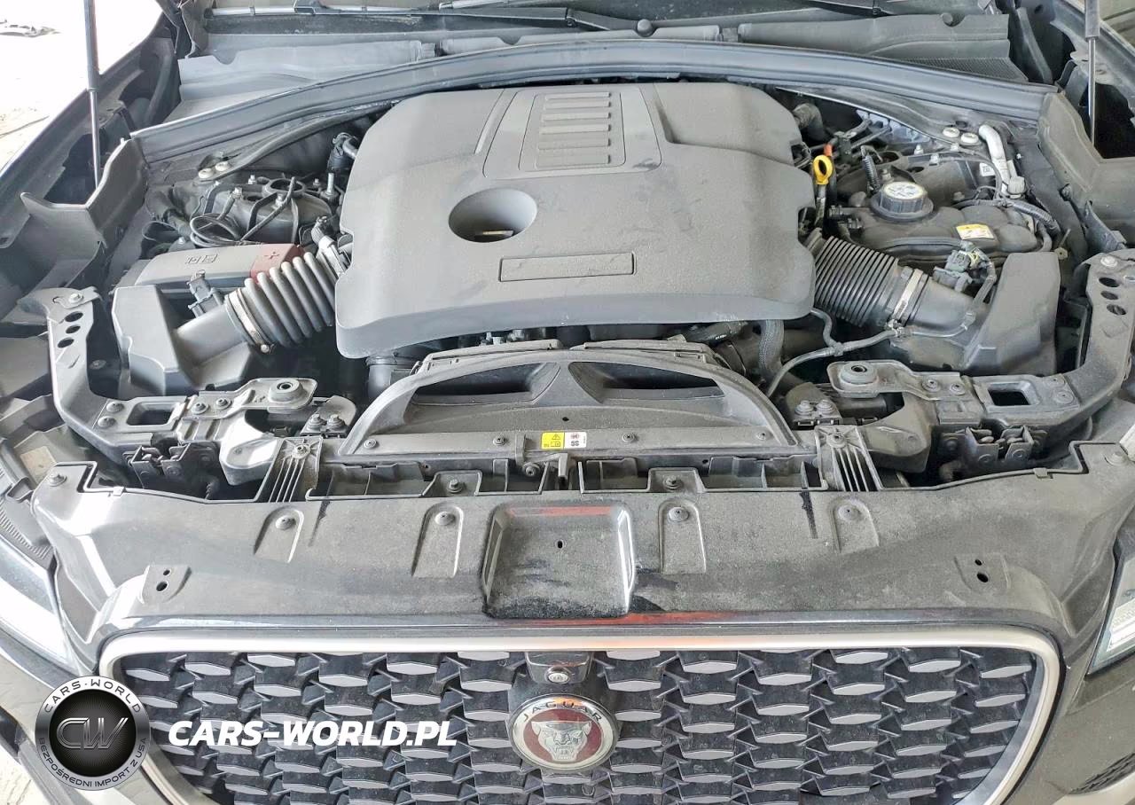 2021 Jaguar F-Pace R-Dynamic S VIN:SADCT2FU4MA666972 - 12