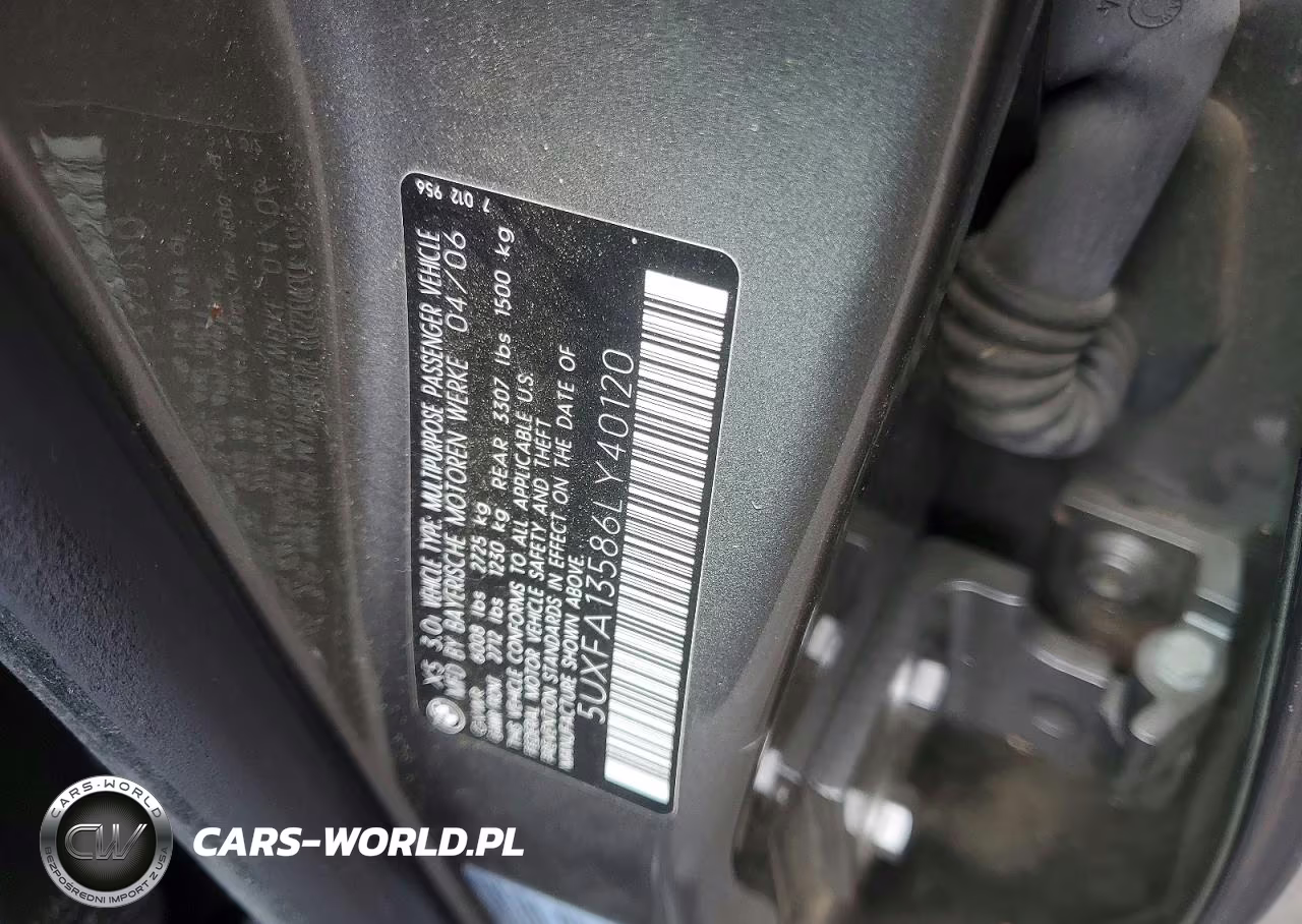 2006 BMW X5 3.0I VIN:5UXFA13586LY40120 - 12
