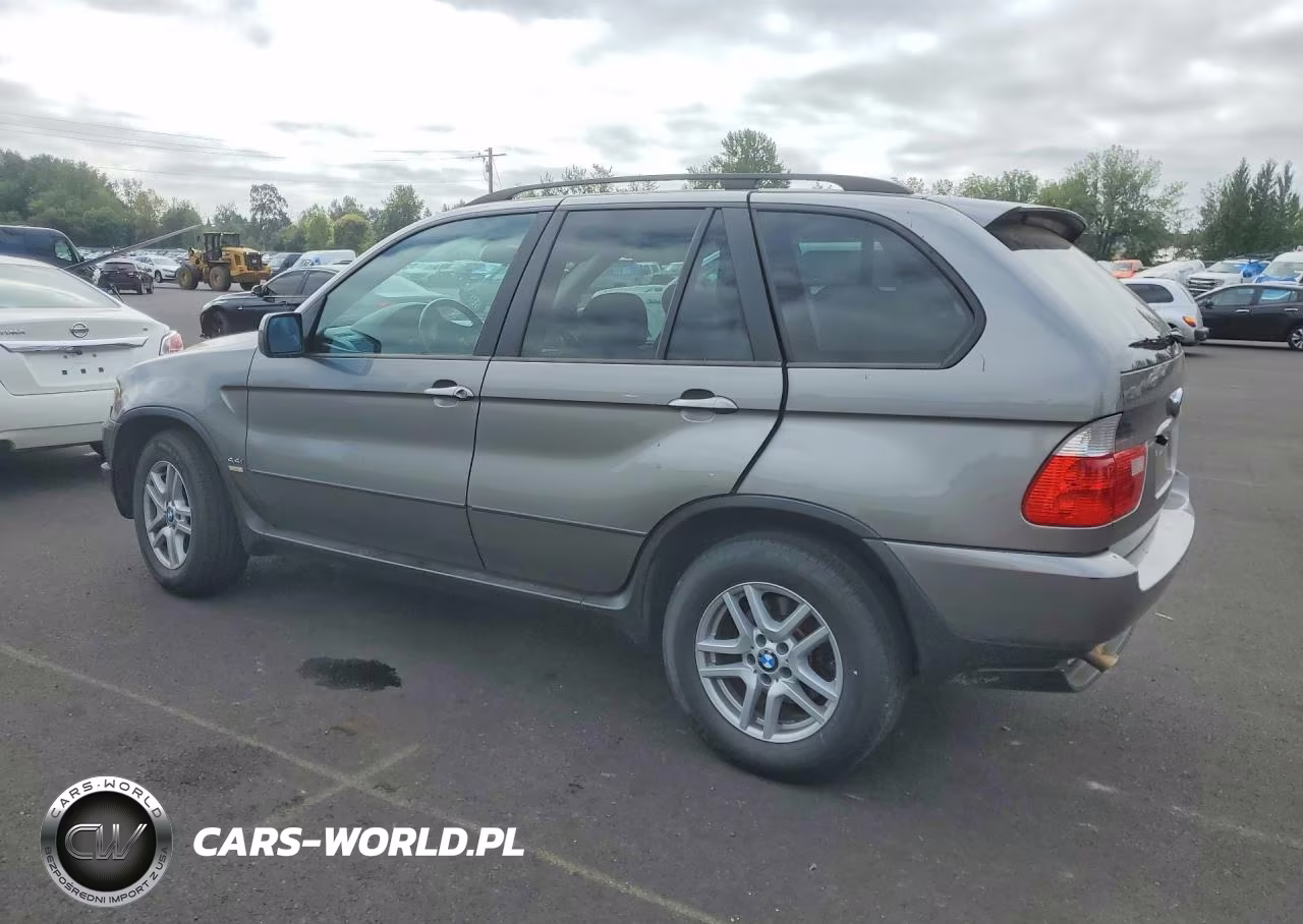 2006 BMW X5 3.0I VIN:5UXFA13586LY40120 - 2