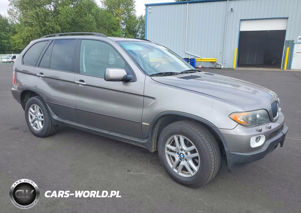 2006 BMW X5 3.0I VIN:5UXFA13586LY40120 - 4