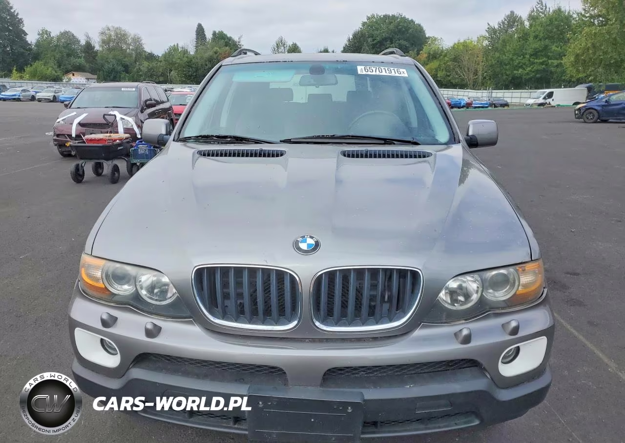 2006 BMW X5 3.0I VIN:5UXFA13586LY40120 - 5