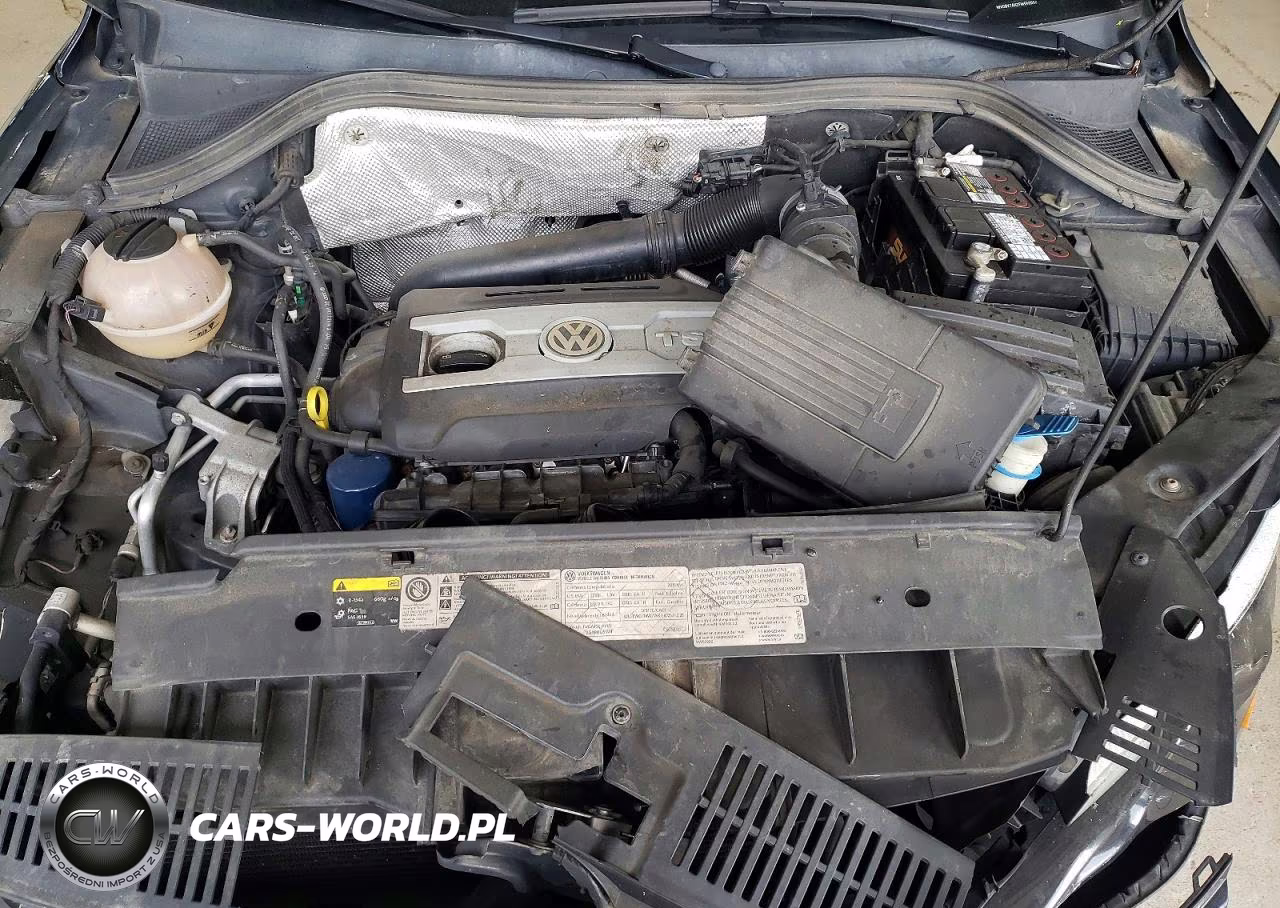 2015 Volkswagen Tiguan S VIN:WVGBV7AX2FW555550 - 12