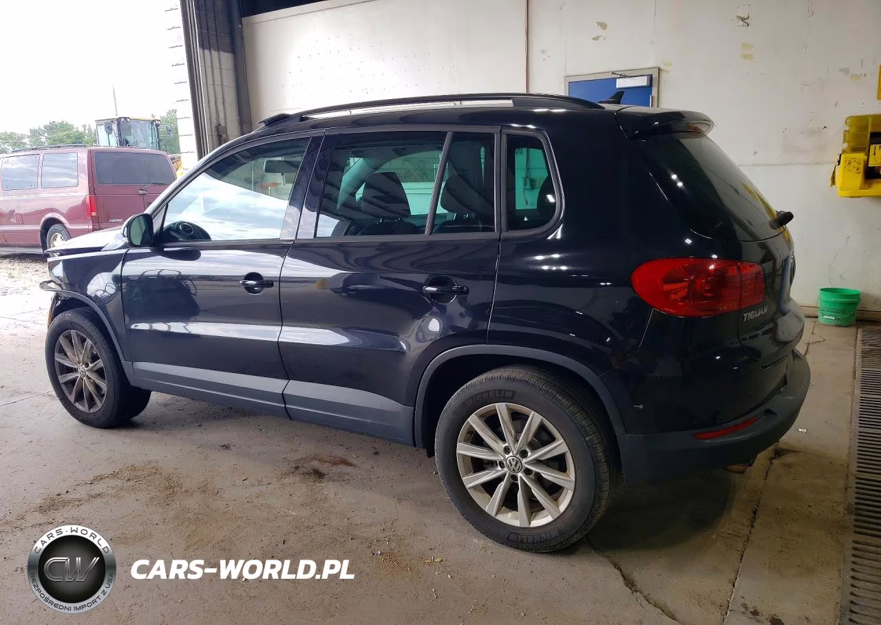 2015 Volkswagen Tiguan S VIN:WVGBV7AX2FW555550 - 2