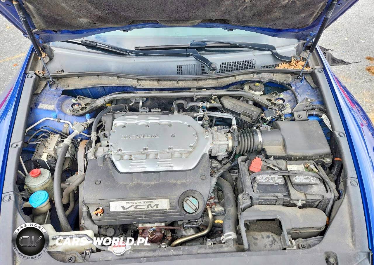 2008 Honda Accord Exl VIN:1HGCS22868A003966 - 11