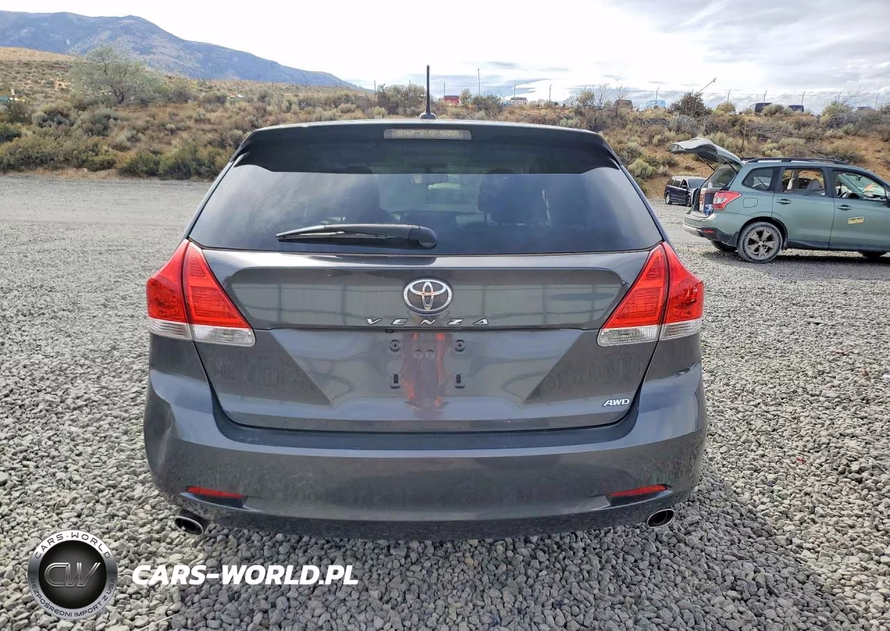 2010 Toyota Venza Awd V6 VIN:4T3BK3BB9AU038973 - 6