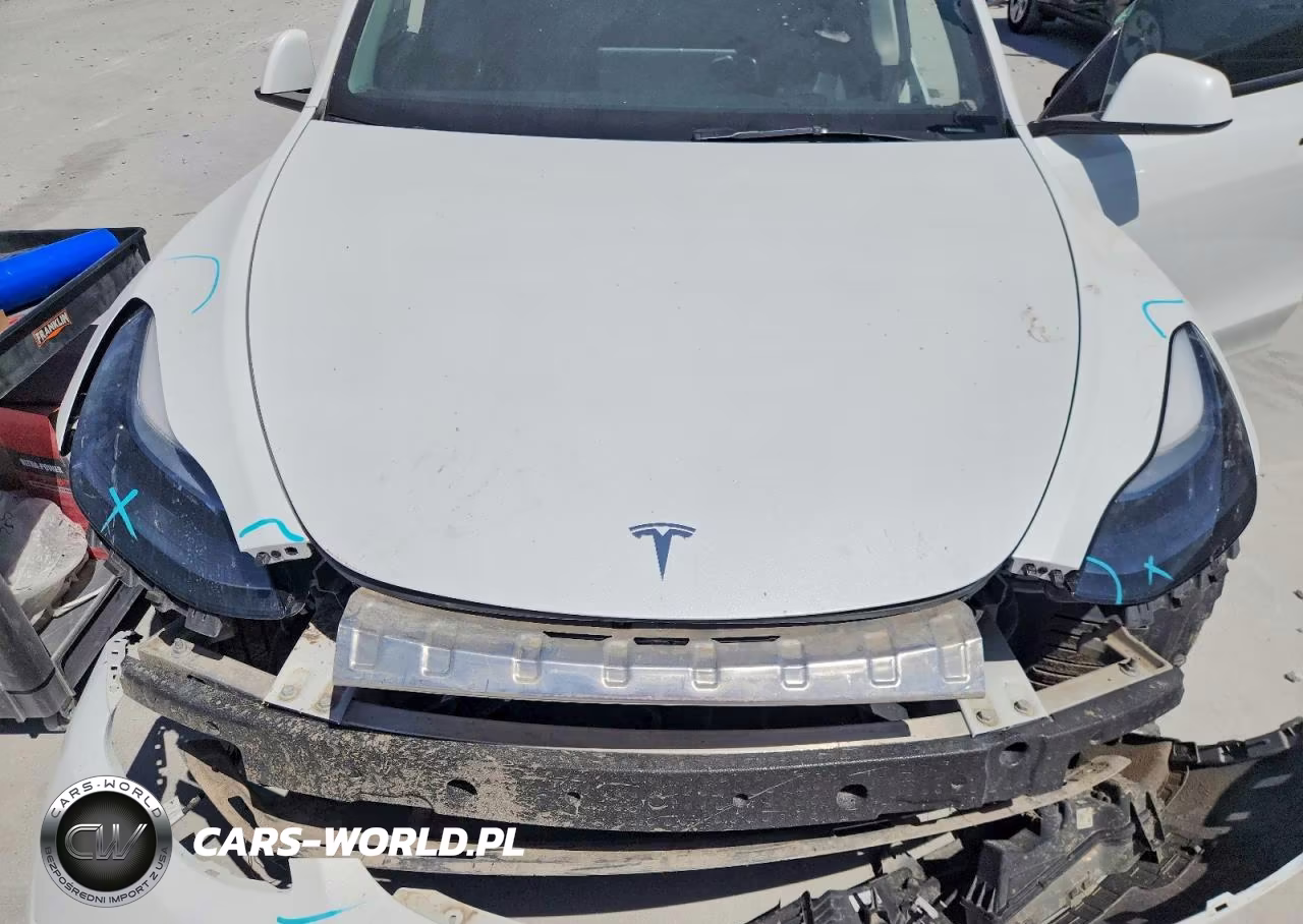 2025 Tesla Model Y VIN:7SAYGDED8SA336694 - 12