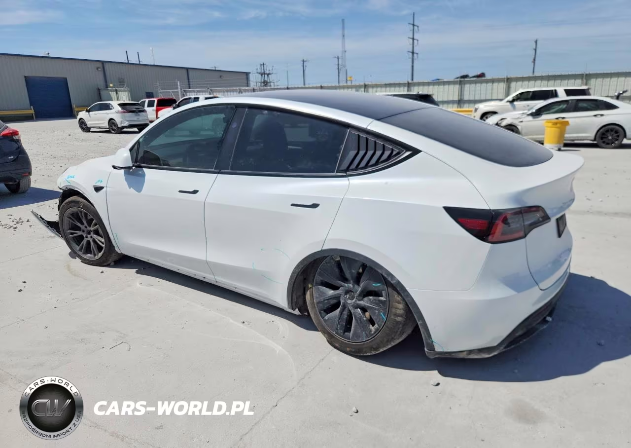 2025 Tesla Model Y VIN:7SAYGDED8SA336694 - 2