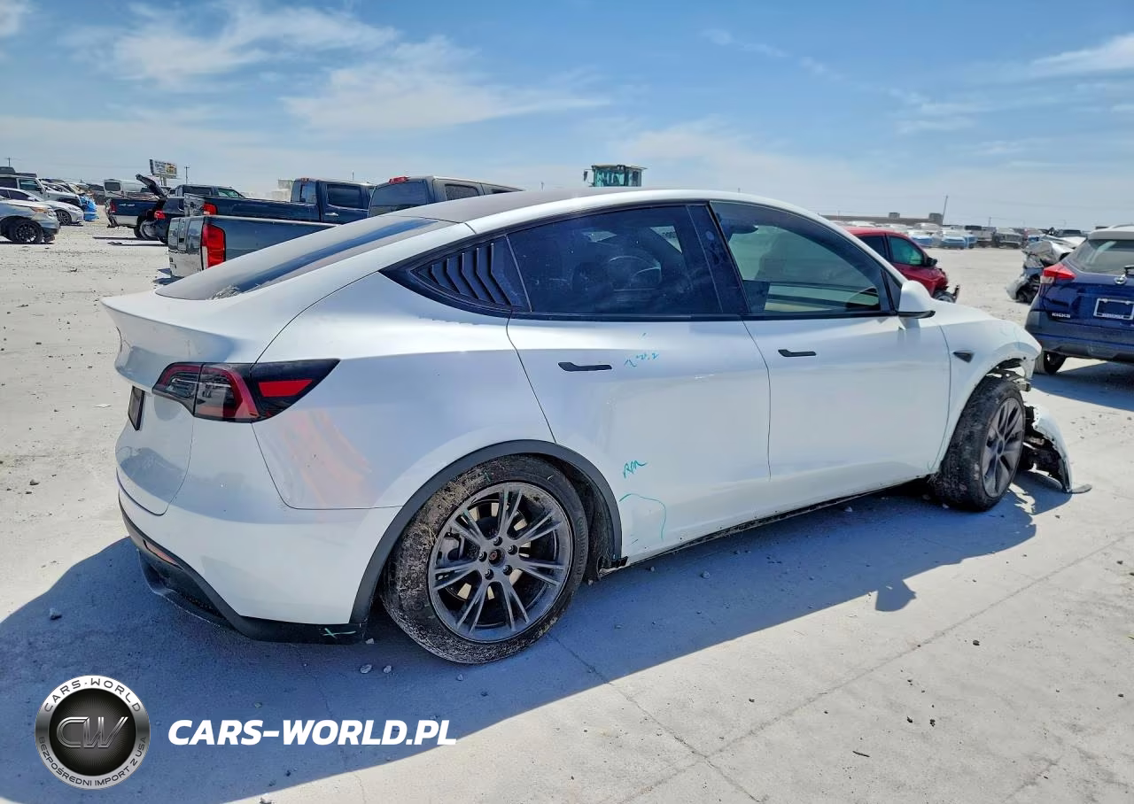 2025 Tesla Model Y VIN:7SAYGDED8SA336694 - 3