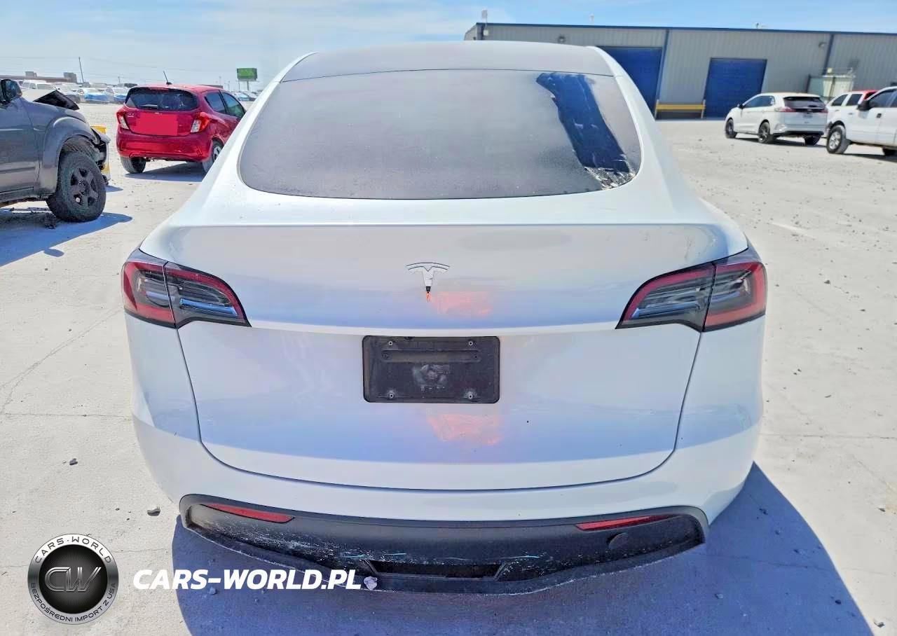 2025 Tesla Model Y VIN:7SAYGDED8SA336694 - 6