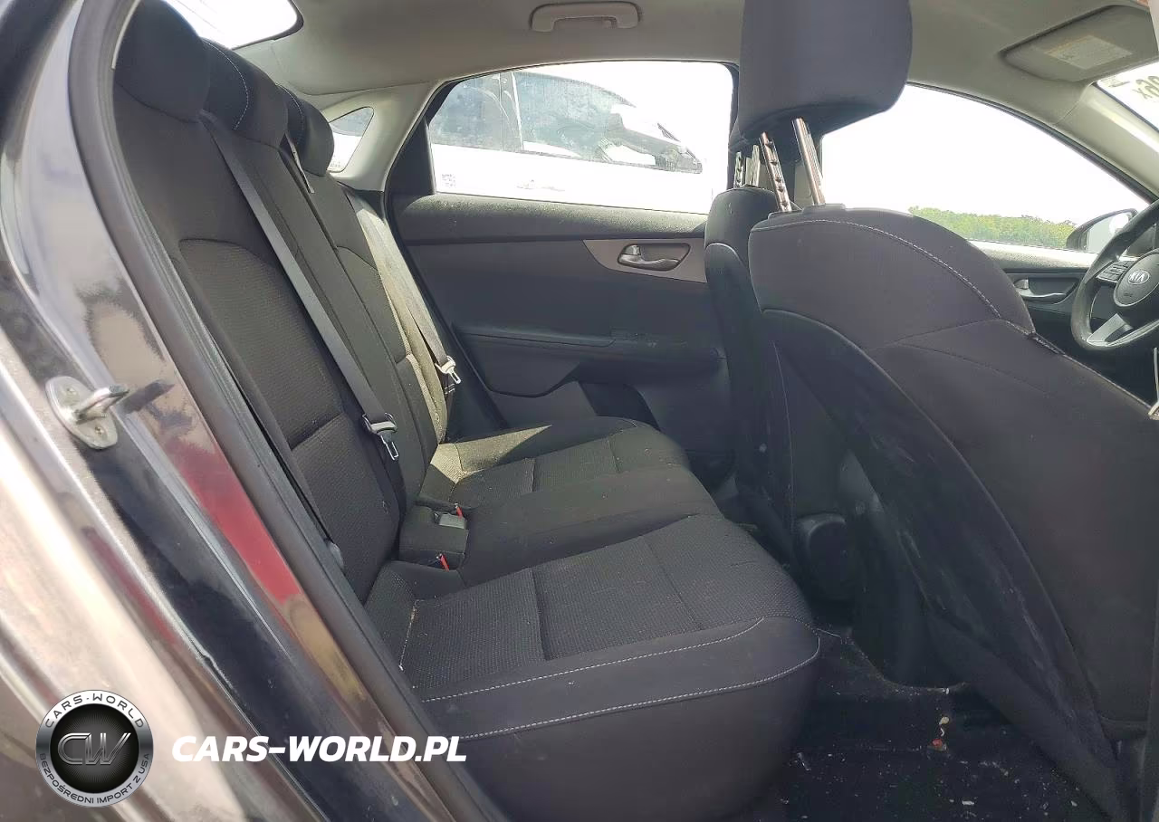 2019 Kia Forte Lxs VIN:3KPF24AD9KE121746 - 10
