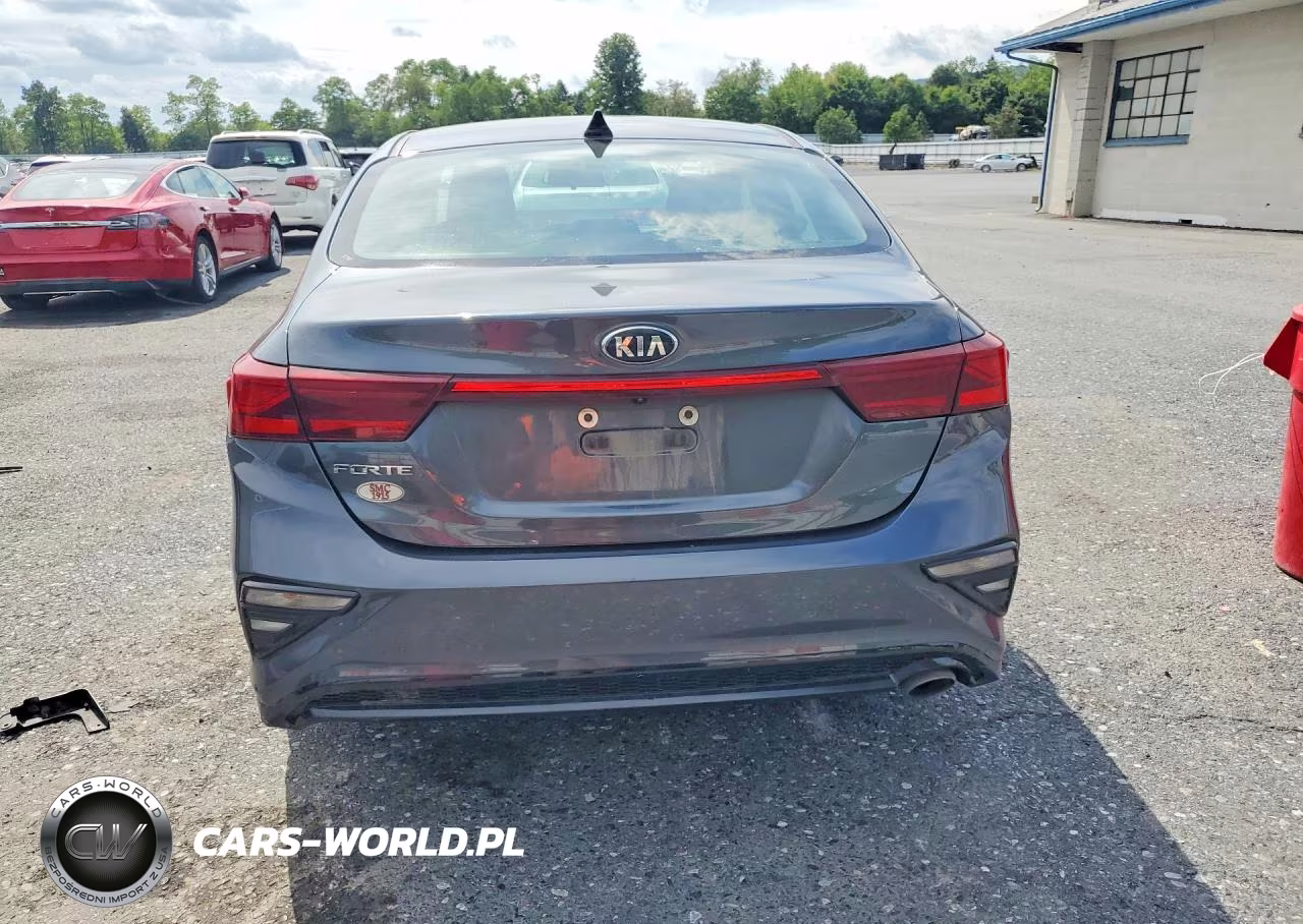2019 Kia Forte Lxs VIN:3KPF24AD9KE121746 - 6