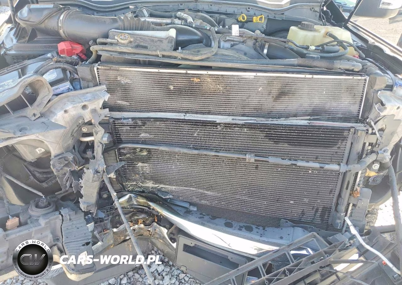 2019 Ford F250 Super Duty VIN:1FT7W2BT6KED79429 - 11