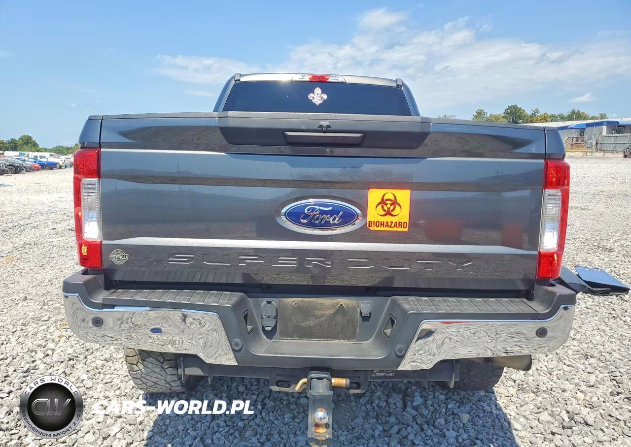 2019 Ford F250 Super Duty VIN:1FT7W2BT6KED79429 - 6