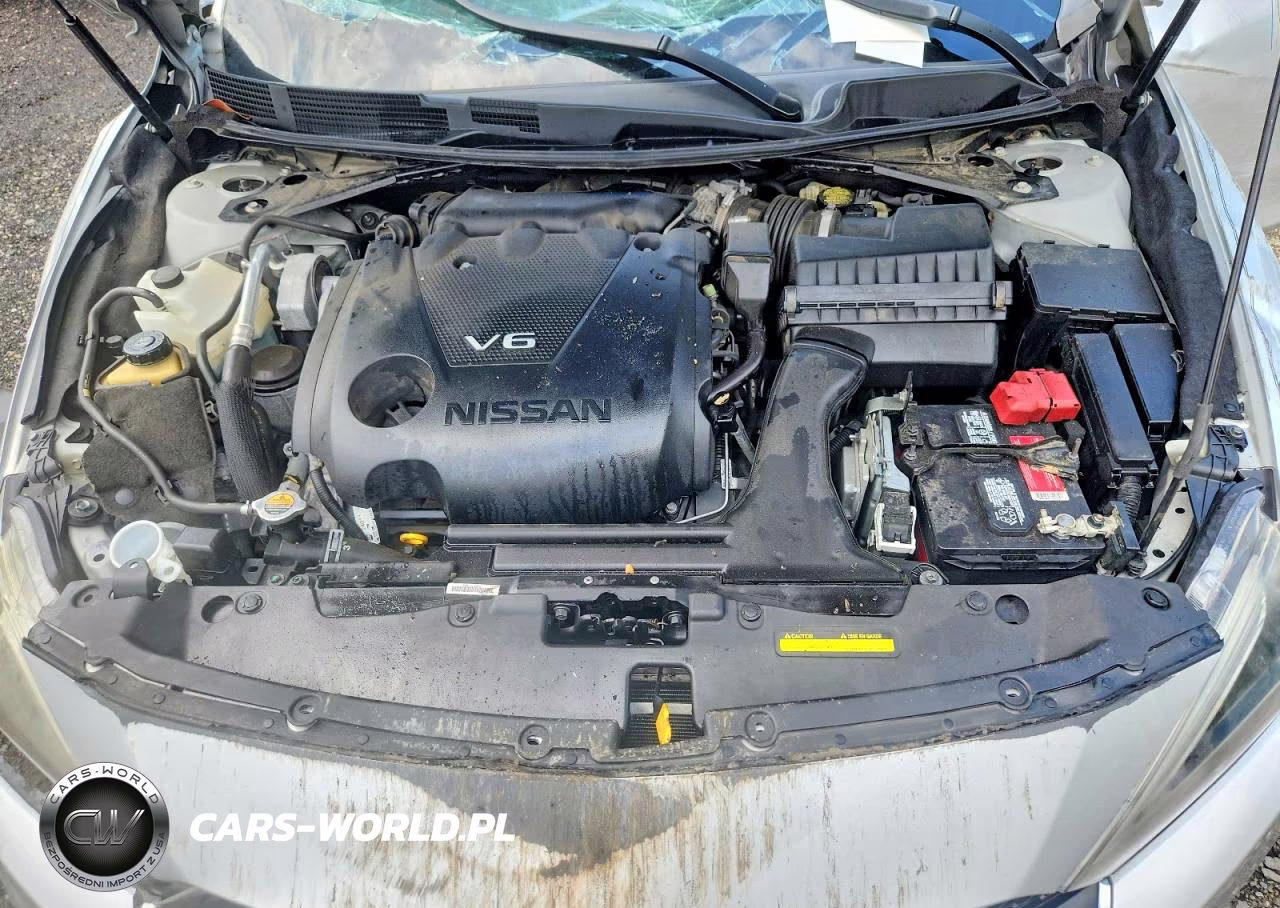 2017 Nissan Maxima Platinum VIN:1N4AA6AP0HC416226 - 11