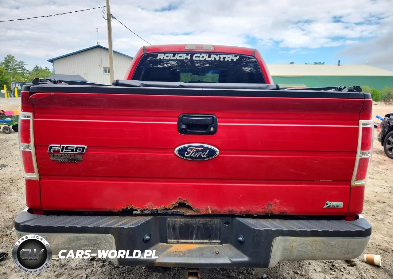 2010 Ford F150 Supercrew VIN:1FTFW1EV7AFD47732 - 6