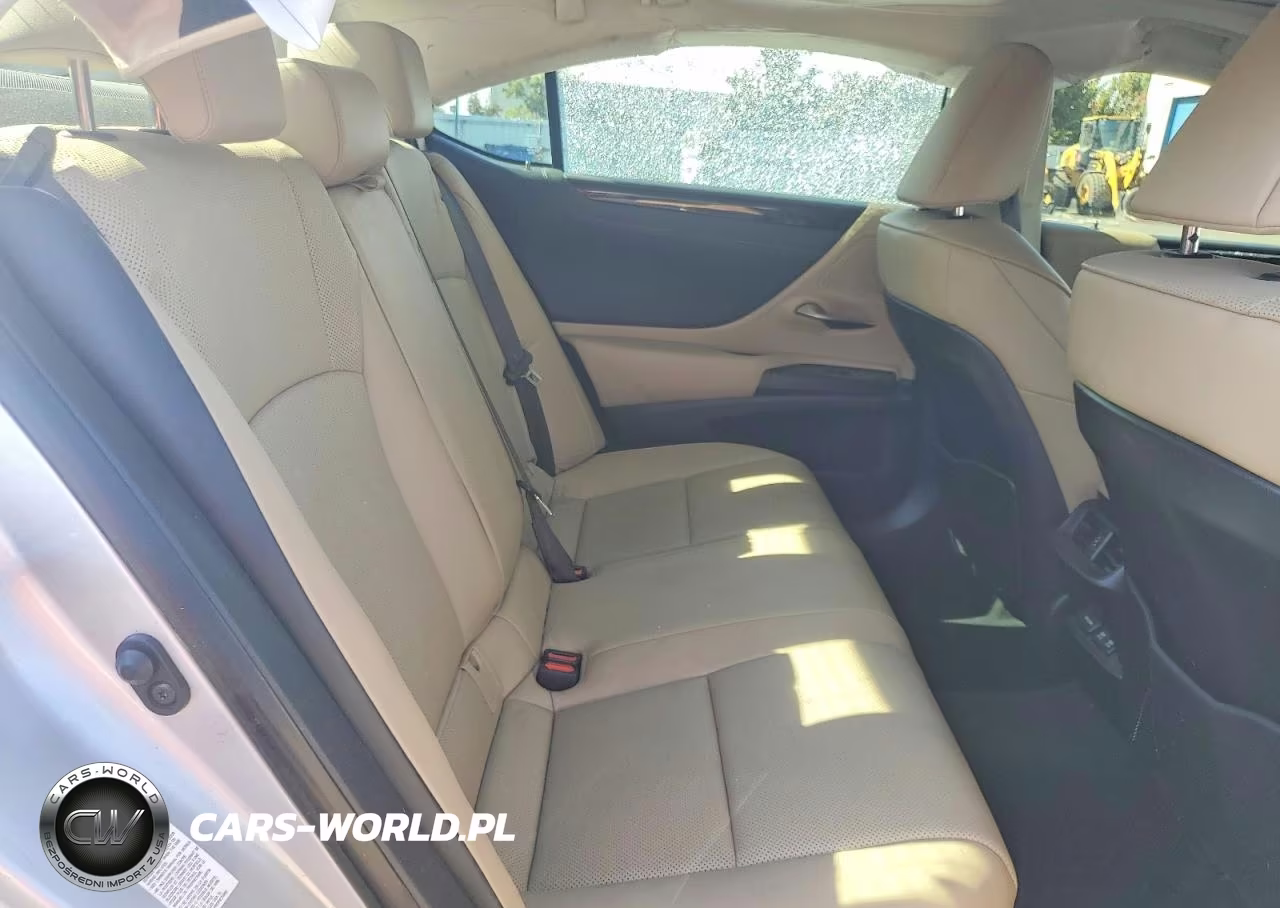 2019 Lexus Es 300H VIN:JTHB21B12K2002112 - 10