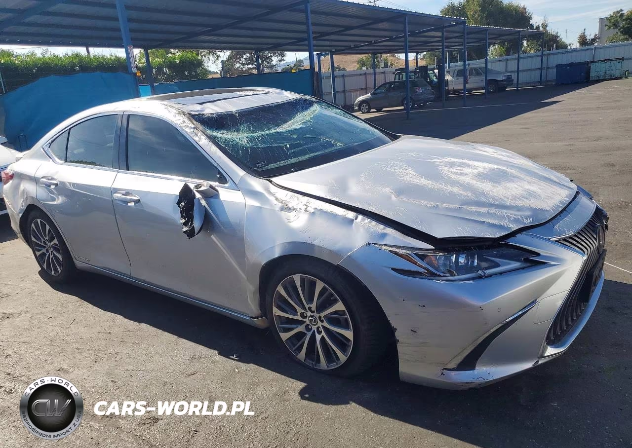 2019 Lexus Es 300H VIN:JTHB21B12K2002112 - 4