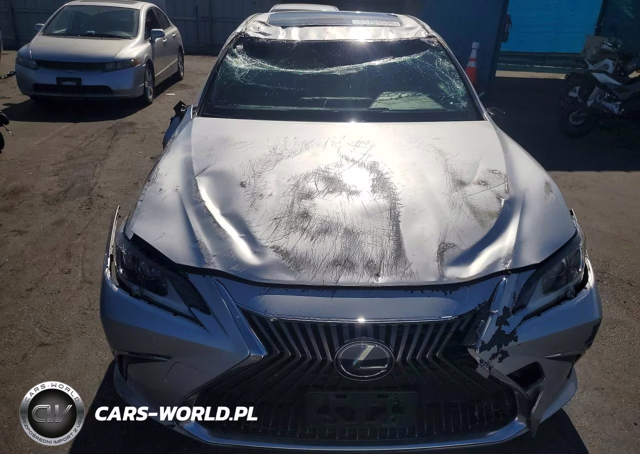 2019 Lexus Es 300H VIN:JTHB21B12K2002112 - 5