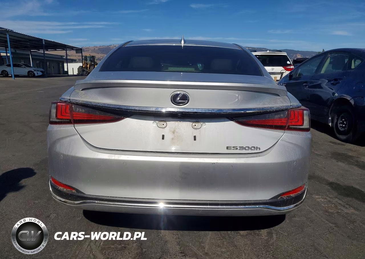 2019 Lexus Es 300H VIN:JTHB21B12K2002112 - 6